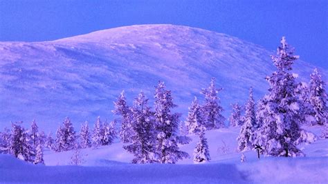 In Search of Christmas: The magic and wonder of Santa's Lapland