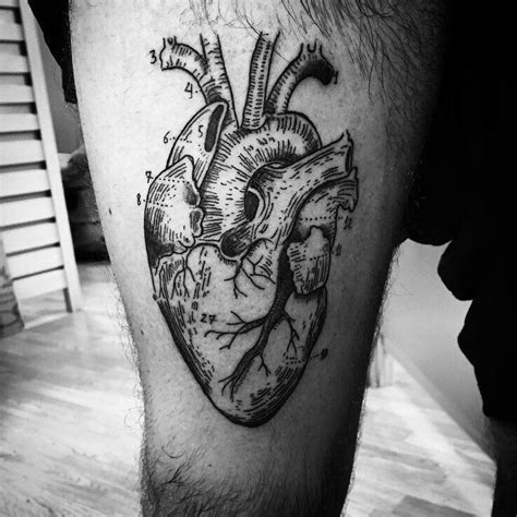 35 Sensitive Anatomical Heart Tattoo Designs Graduation Tattoo With Ann Pinterest Heart