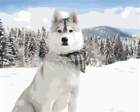 Mahuaf I652 Siberian Husky Standing In The Snow Diy Oil Painting By