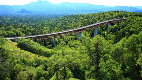 Matsumio Bridge And Trees Mikuni Pass Daisetsuzan National Park