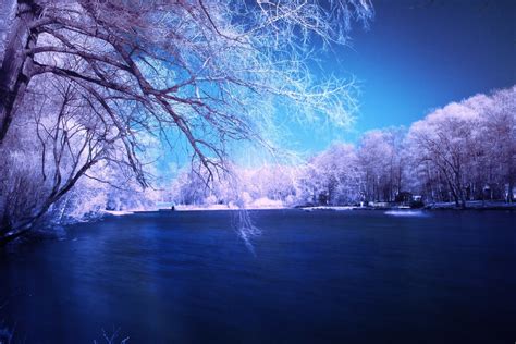 Lake In Winter Hd Wallpaper Background Image 2560x1707