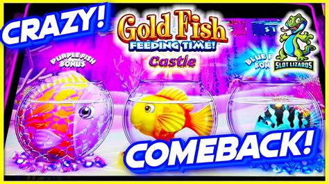 New Slot Super Fun Big Win Comeback Gold Fish Feeding Time Castle