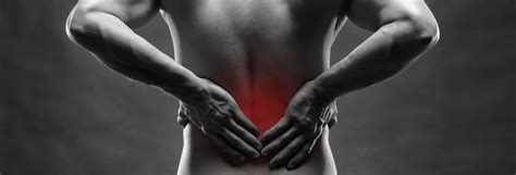 Ten Causes Of Back Pain One Easy Solution Spinal Backrack