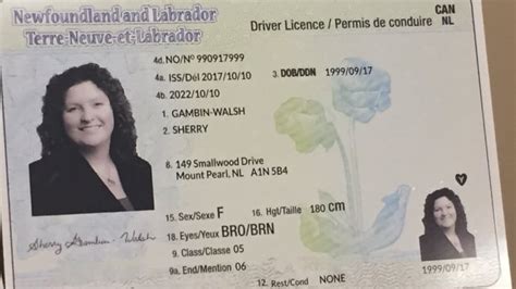 Security Makeover For Drivers Licences In Nl And 3 Other Provinces