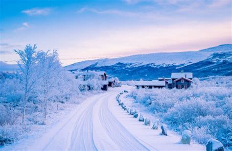 Les Fonds Décran Maison Couverte De Neige Près Des Arbres Pendant La