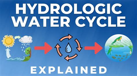 The Water Cycle Explained In Under 5 Minutes Youtube