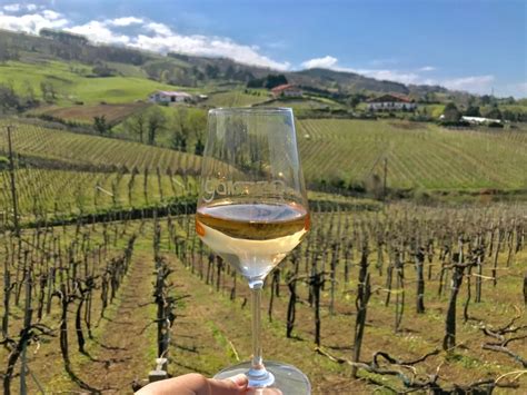 Txakoli Unique Wine Of The Basque Country High On Wines