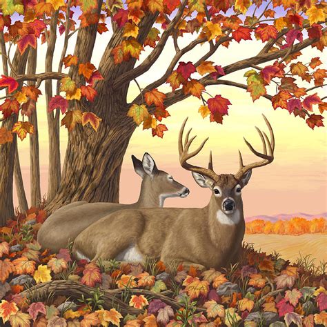 Whitetail Deer Hilltop Retreat Digital Art By Crista Forest