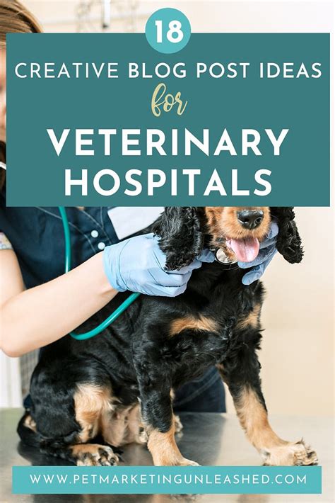 18 Creative Blog Post Ideas For Veterinary Hospitals Pet Marketing