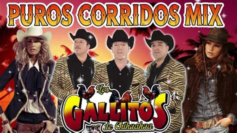 Los Gallitos De Chihuahua Disco Completo Corridos Con Tololoche 2022