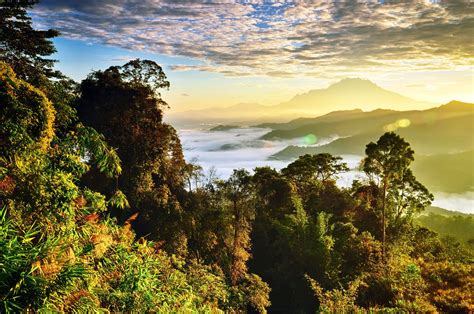 9 Top Destinations In Malaysian Borneo