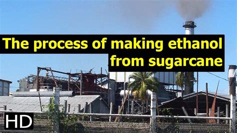The Process Of Making Ethanol From Sugarcane YouTube