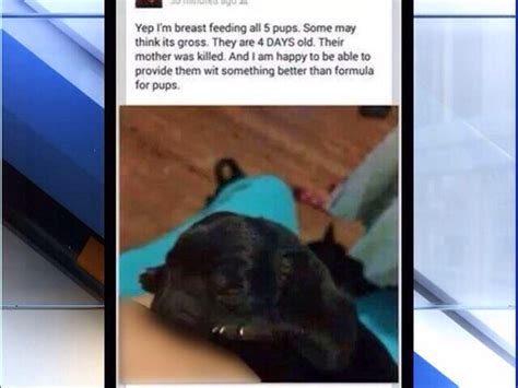 There are women, who do not stop at breastfeeding puppies along with their own infant children. Woman Criticized For Facebook Post Showing Her Breastfeeding Puppy - Breaking911