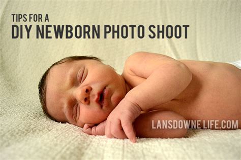 13 Tips For A Diy Newborn Baby Photo Shoot Lansdowne Life