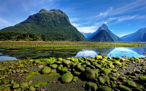 New Zealand Fiordland National Park Mountains With Rainforest Valley