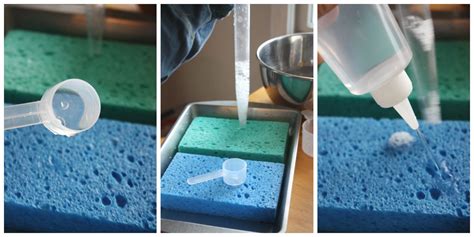 To take in or swallow up a sponge absorbs water. Absorption Science Water Experiment for Kids