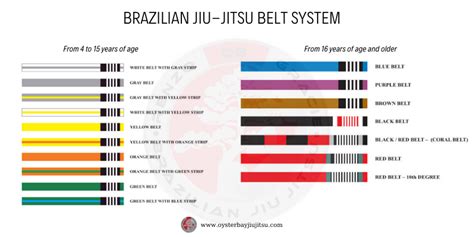 Brazilian Jiu Jitsu Belts Every Detail That You Should Learn By