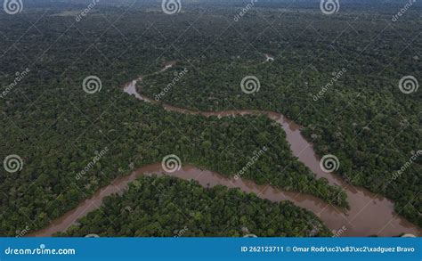 Small River Tributary Of The Great Amazon River And The Rain Tropical