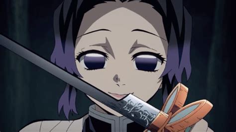Demon slayer's fanbase is huge, and most of the otakus respect the series too! Demon Slayer: The Most HYPED Anime Of 2019 - Is It Worth It?