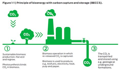 Rob Bellamy On Twitter Bioenergy With Carbon Capture And Storage