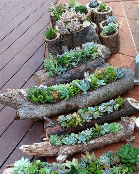 40 Amazing And Easy Outdoor Succulent Garden Ideas For You And Your