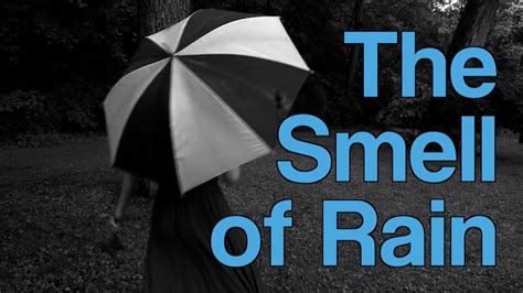 The Smell Of Rain A Moment Of Science Pbs Youtube