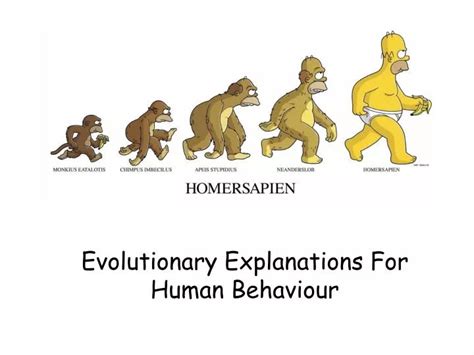 Ppt Evolutionary Explanations For Human Behaviour Powerpoint