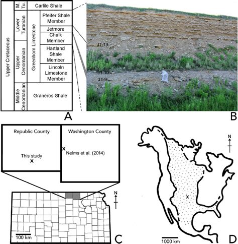 A Simplified Stratigraphic Column Of Upper Cretaceous Greenhorn