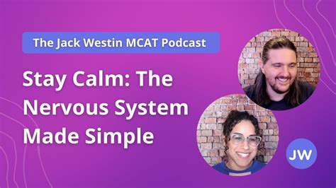 Stay Calm The Nervous System Made Simple Youtube