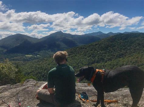 Five Tips For Hiking With Dogs Adirondack Mountain Club