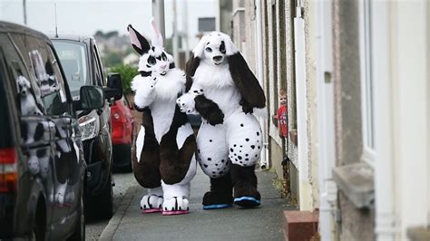 Guy With Rabbit Obsession Dresses Up As Giant Bunny Youtube