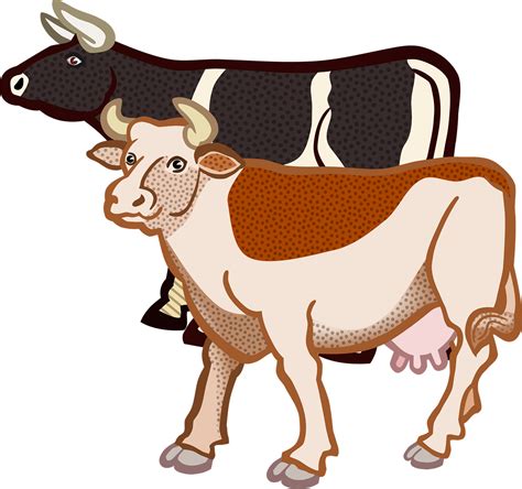 Animal Cow Farm Tier Png Image Clipart Full Size Clipart 2558297