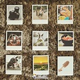 Get Your Top 10 Favourite Instagram Photos Printed Every Month - PRINTL ...
