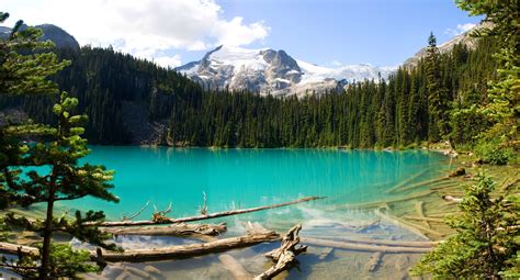 British Columbia Canada Lake Forest Mountain