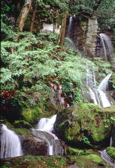Best Smoky Mountain Waterfalls Place Of A Thousand Drips