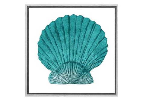 Transform Your Space With Turquoise Sea Shell Wall Art Print Final