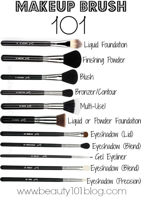 Everything You Need To Know About Makeup Brushes Makeup Beauty