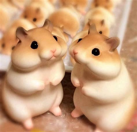 The Bread Hamster Japanese Hamster Cute Japanese Japanese Food Japanese Desserts Hamsters