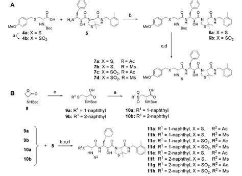 Scheme 1 Reagents A M Cpba 2 Equiv Ch 2 Cl 2 B Hobt