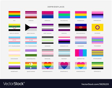 Identity Pride Flags Set Pride Month Royalty Free Vector