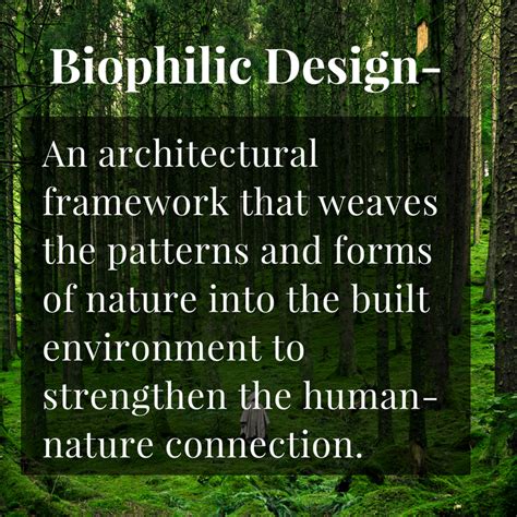 The Top 9 Ways To Incorporate Biophilic Design Into Your Office Blog