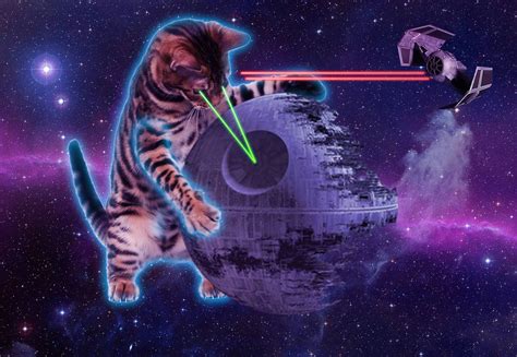 Space Laser Cat Myconfinedspace Myconfinedspace