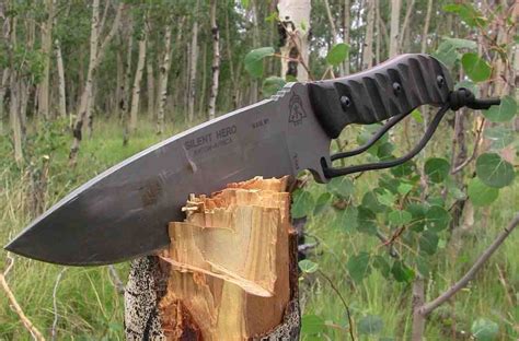 Stay Sharp Stay Right Camping And Survival Knives
