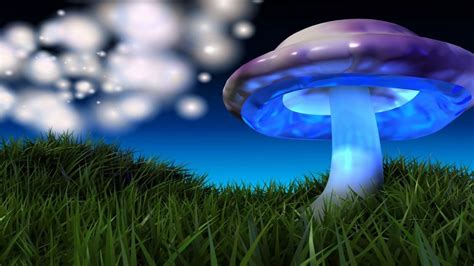 Blue Mushroom Wallpapers Top Free Blue Mushroom Backgrounds