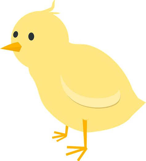 Chick Clipart Free Download Transparent Png Creazilla