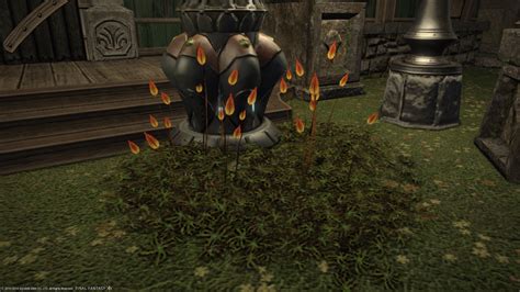 If you find yourself bored of the early levels of alchemy, consider trying your hand at one of the many repeatable leves. Final Fantasy XIV : A Realm Reborn (FFXIV ARR) Database | Ground cover plants, Outdoor ...