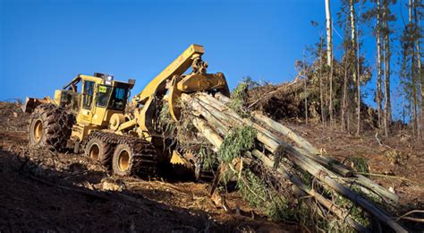 LS855E Shovel Loggers Steep Slope Logging Tigercat TV