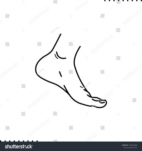 Foot Vector Icon Outlines Stock Vector Royalty Free 1798643986