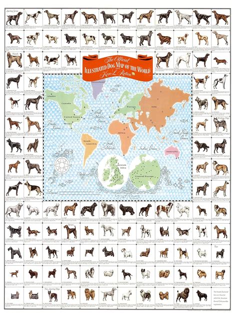 Dog Breeds Of The World Poster