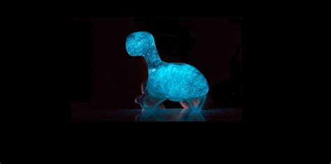 This Glow In The Dark Pet Is Actually Alive
